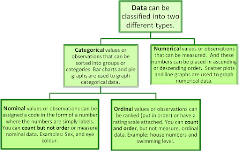 Types Of Data In Statistics