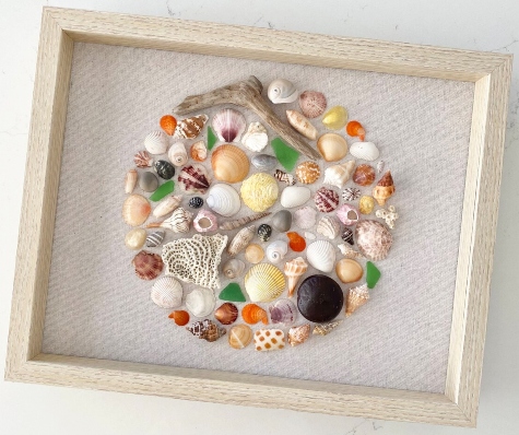 Sanibel Shell Shadow Boxes