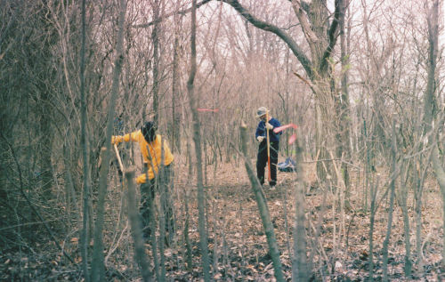 clearing trail right of way