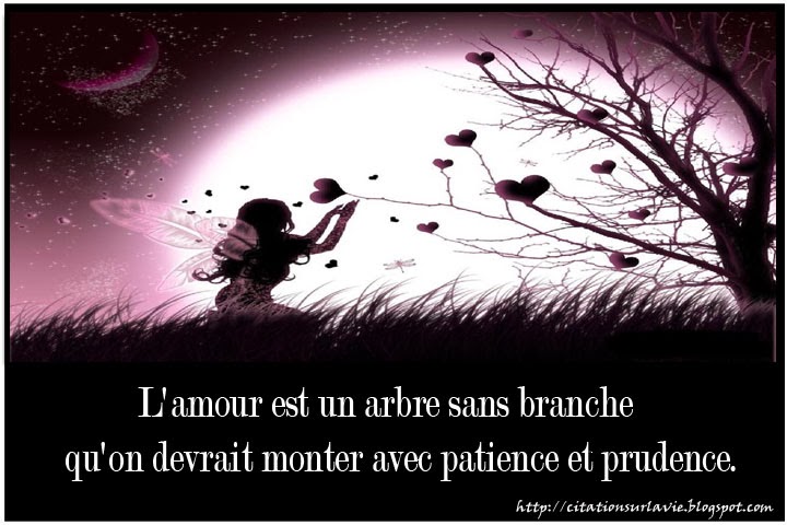 ici les plus beaux phrases d amour sur le net