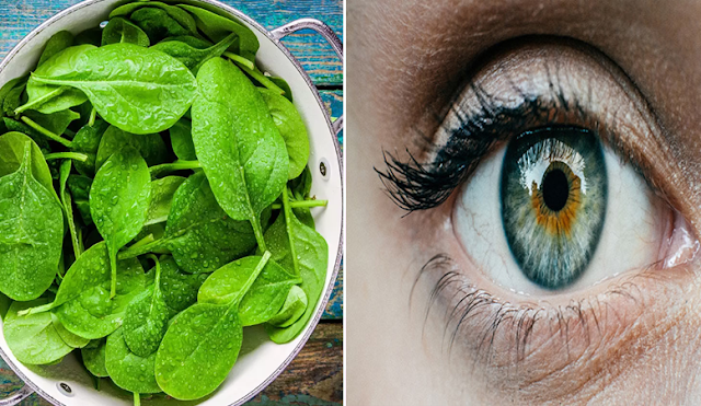 Spinach: A Superfood For The Eyes