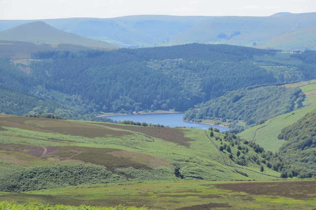Surrounded by hills and woods, a reservoir sits in the valley.