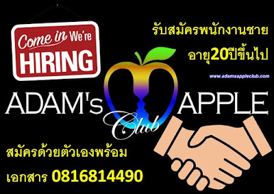 Job offer Vacancy Adams Apple Club Chiang Mai Gay Bar Host Bar Ladyboy Cabaret Male Entertainment