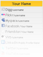 ShowYourself, Social Networking & Web 2.0 Aggregator Widget