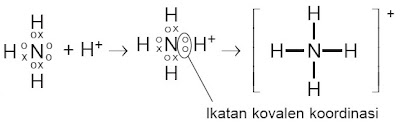  Ikatan kovalen koordinasi yaitu ikatan yang terbentuk dari pemakaian pasangan elektron b Pintar Pelajaran Contoh Ikatan Kovalen Koordinasi, Proses Pembentukan, Pengertian, Soal, Kunci Jawaban, Kepolaran Senyawa, Unsur Kimia