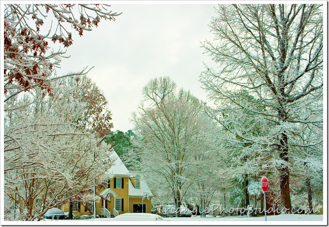 RaleighSnowDay (7 of 1)