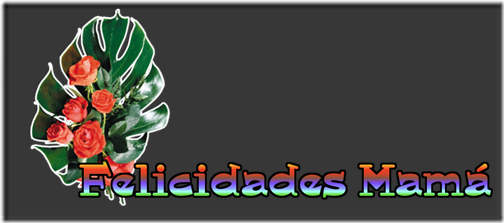 felicidades mama (16)