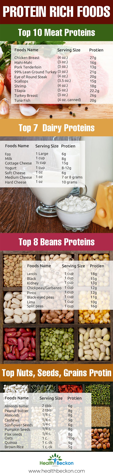 PROTEIN RICH FOODS