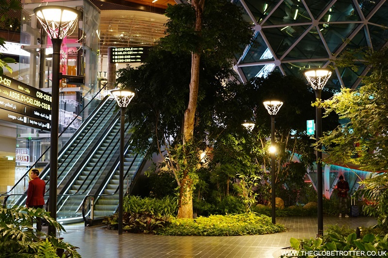 Indoor garden at Doha Airport