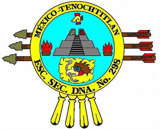 SECUNDARIA 298 T. M.