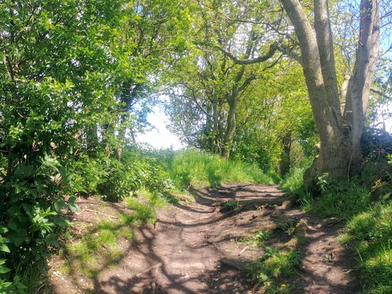 Wymondley bridleway 22 between points 7 and 8