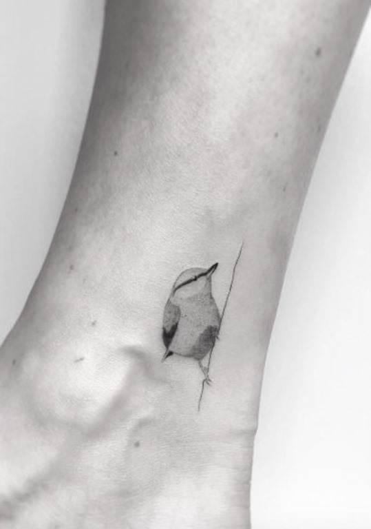 este_micro_songbird