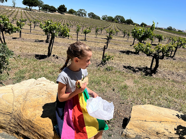 Little girl eating a sandwich at a vineyard