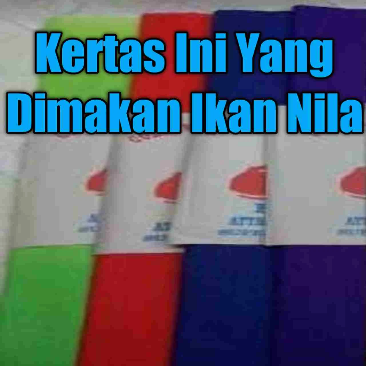 Cara Membuat Umpan Ikan Nila Dari Kertas Krep Yang Ampuh