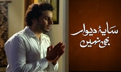 Saya-e-dewar bhi nahi Drama Hum TV Full Episode 9 Watch Online