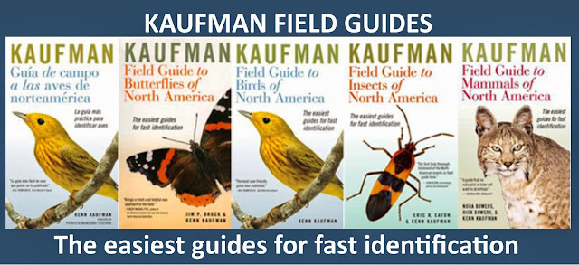 Birds Of Texas Field Guide