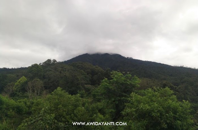 Gunung Buthak dari Ukir Negoro