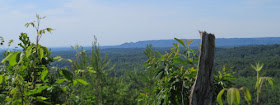 vista on the Knobstone Trail