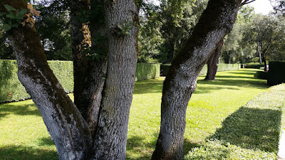 Jardins de Marqueyssac