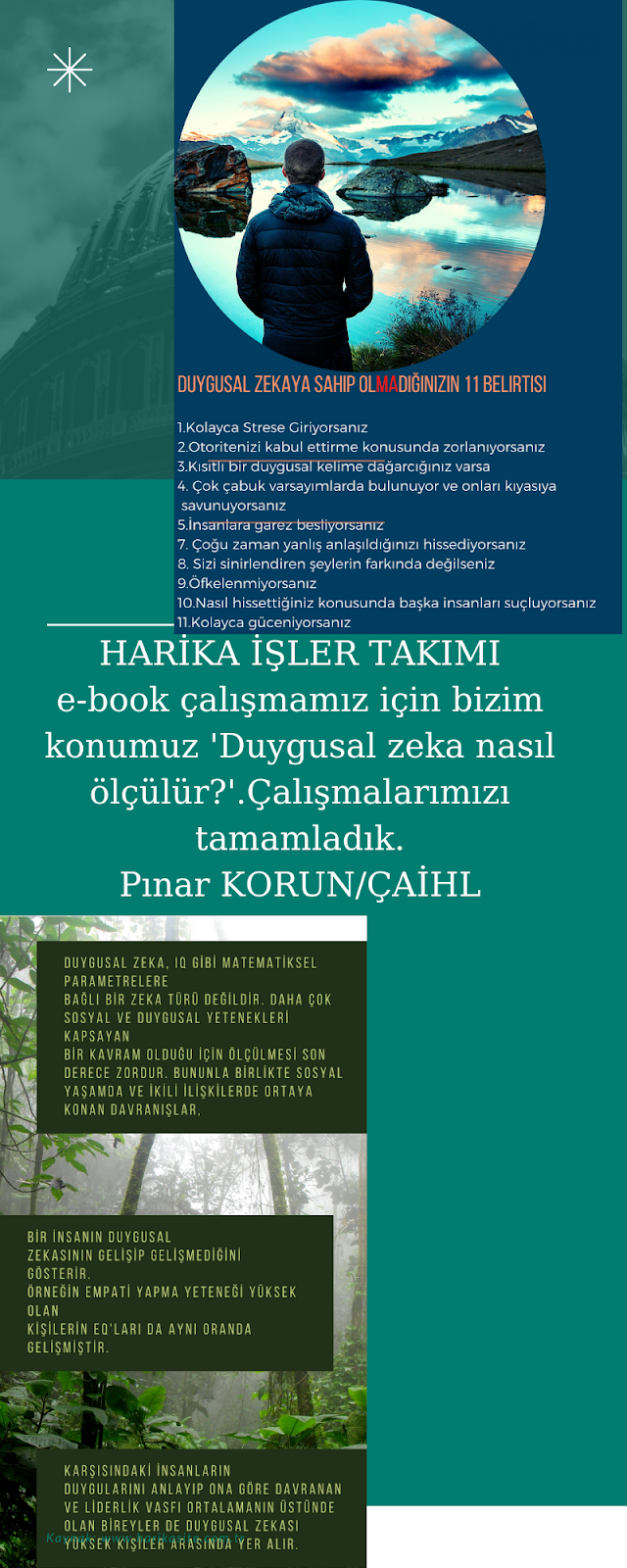 Resim