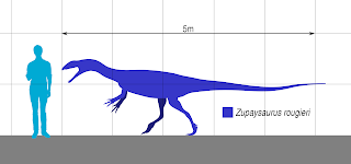 Zupaysaurus boyut karşılaştırması