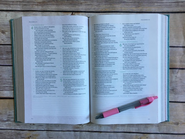 Bible study tips using the new CSB (in)courage Devotional Bible. It highlights 50 women in the Bible and how God worked though their lives.