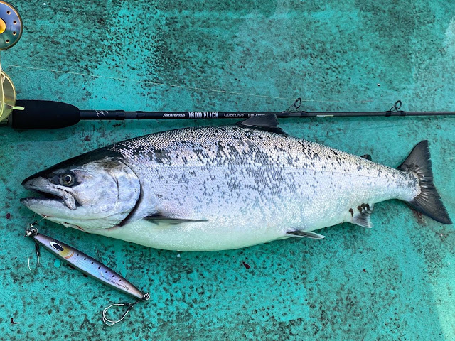 21年サクラマスジギング 下北 三陸の傾向と対策 タックルと釣り方について Natureboysstaffのブログ