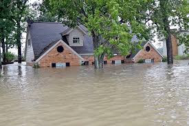 Inundación. Pastor Aguiar