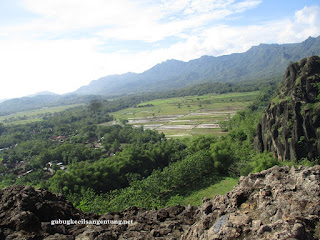 sawah sukoharjo