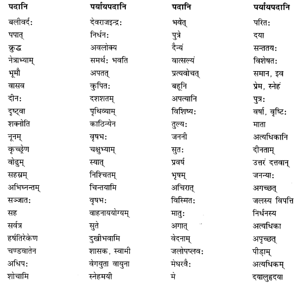 NCERT Solutions for Class 10 Sanskrit Shemushi Chapter 5 जननी तुल्यवत्सला