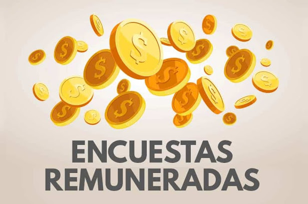 Encuestas remuneradas 2024