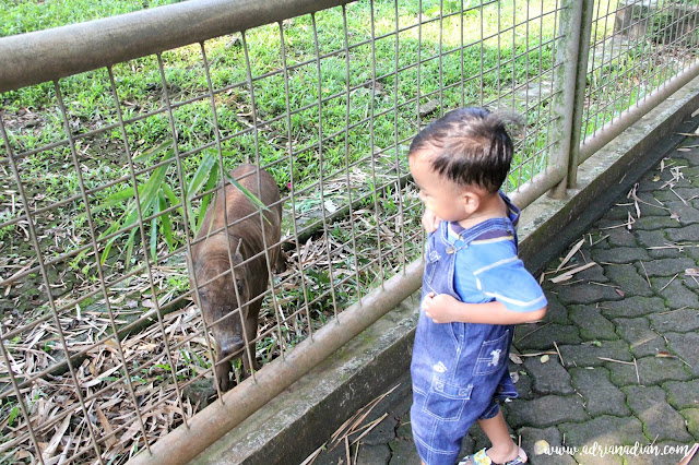 Kebun Binatang Ragunan 2016