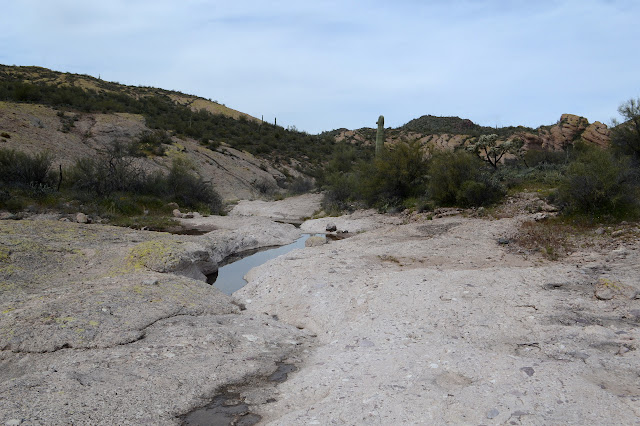 puddles along the rock