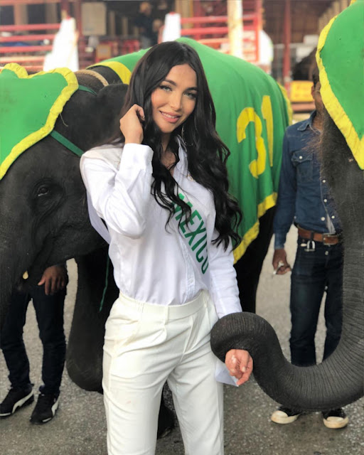 Grecia Culpo – Miss International Queen Mexico 2019 Instagram Photos