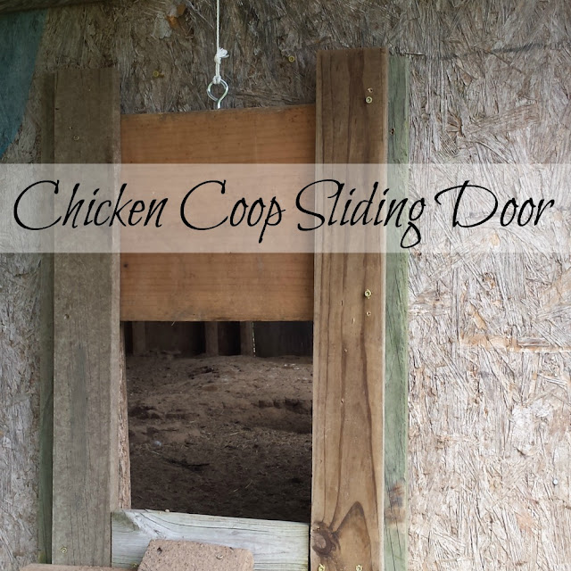 A sliding door in the side of a chicken coop.