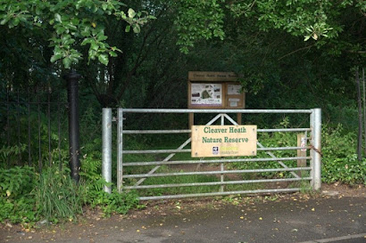 Entrance to Cleaver Heath in summer
