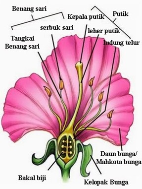 Referensi Online ku Artikel Lengkap Bagian Bagian Referensi Online ku Artikel Lengkap Bagian Bagian