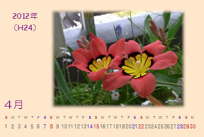 花暦2012