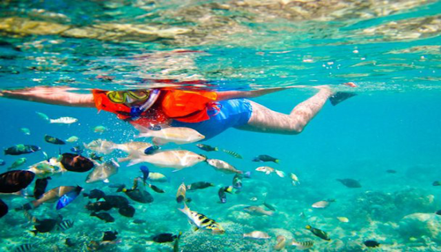 Keindahan Surga Bawah Laut Giri Sudak  