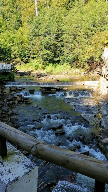 Springs Slănic Moldova