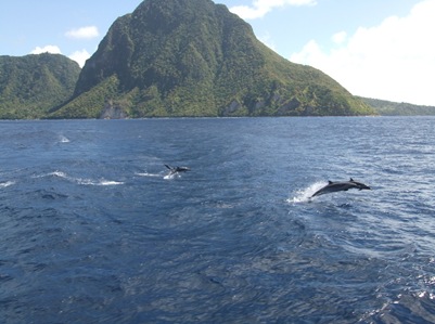Passeio de barco em St Lucia. Com a maior sorte do mundo consegui apanhar quatro golfinhos em pleno salto nesta foto. Digam lá se não está um mimo! Cliquem para verem no tamanho original