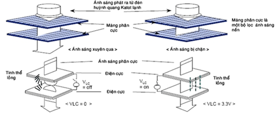 Sử dụng tinh thể lỏng để điều khiển ánh sáng đi qua hai