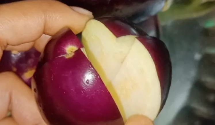 How to Make Eggplant Recipe in Hindi -Dahi Wale Bharwa Baigan