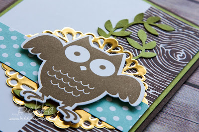 An Owl for Any Occasion