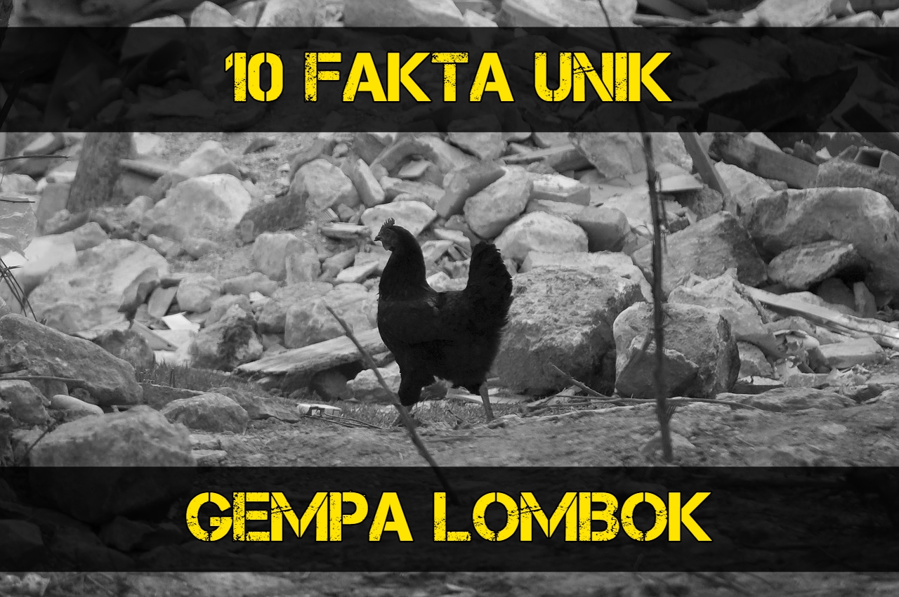 10 Fakta Unik Seputar Gempa Lombok Desa Hantu Pasca Gempa