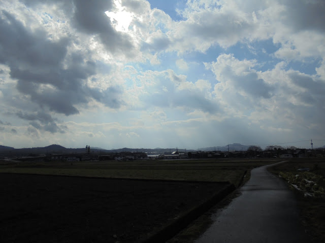 野本川に向かいます