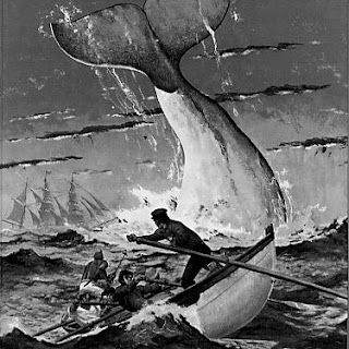 Moby Dick - Herman Melville