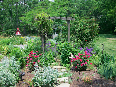 Late spring back garden