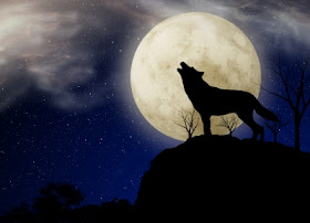 Image "Wolf and Moon" courtesy of nixxphotography at www.freedigitalphotos.net