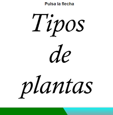 http://cplosangeles.juntaextremadura.net/web/edilim/curso_2/cmedio/plantas02/tipos_plantas02/tipos_plantas02.html